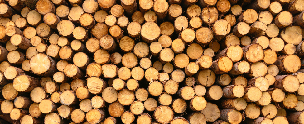 EU Timber Regulation