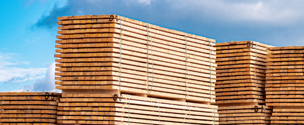 CE marking for timber construction products