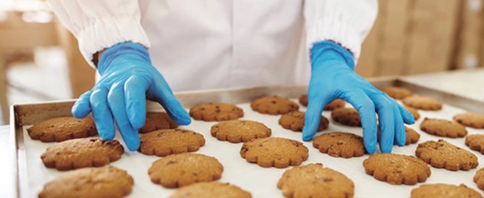 ISO 22000 Food safety management system