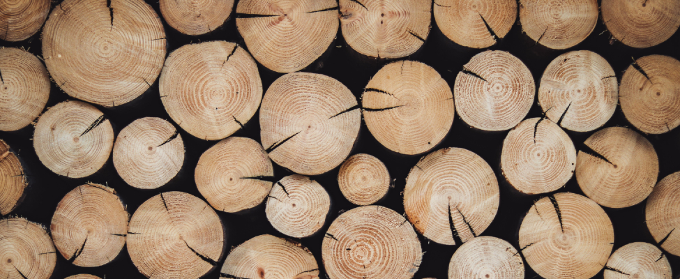 Issued Statements of Compliance